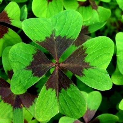 新188app官网下载