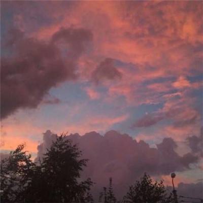 澳门网上黄金城老品牌官网版