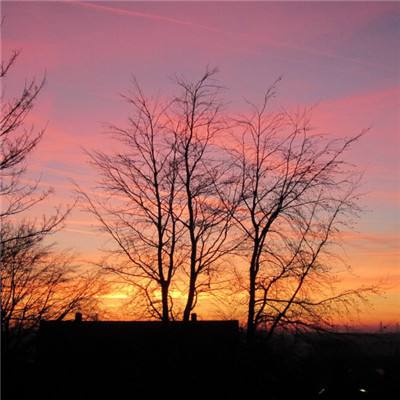 全民彩票app下载截图